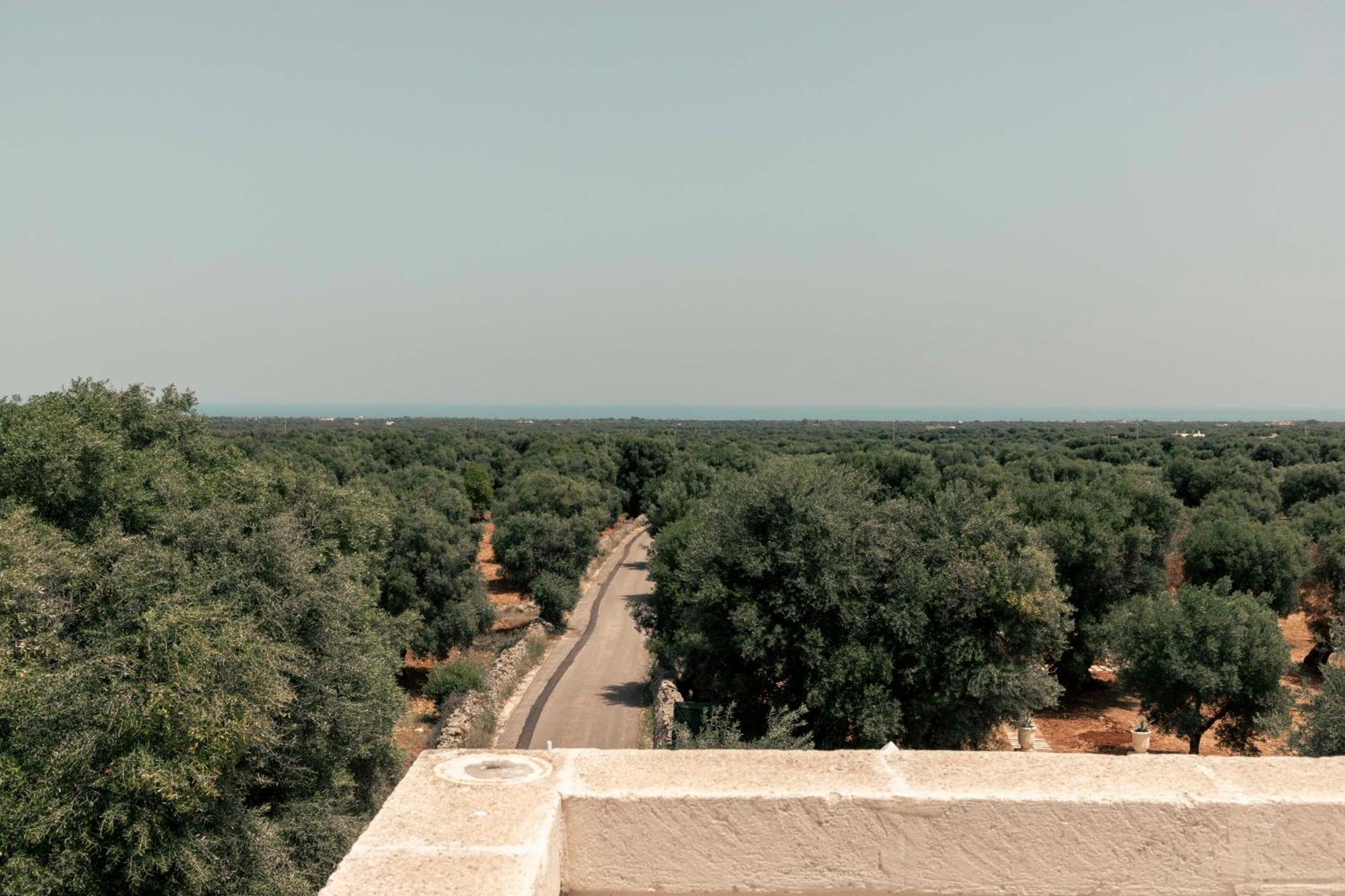 Masseria Artemisia Vista Mare أوستوني المظهر الخارجي الصورة